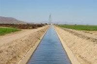 کیفیت آب های آبیاری در انار کاهش یافته است